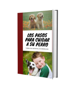 1631974614-removebg-preview